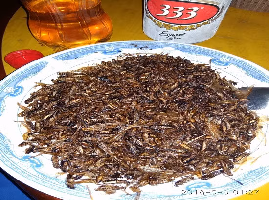 dac san con trung “dinh nhat” tron nich an la nghien o vung tay bac hinh anh 3