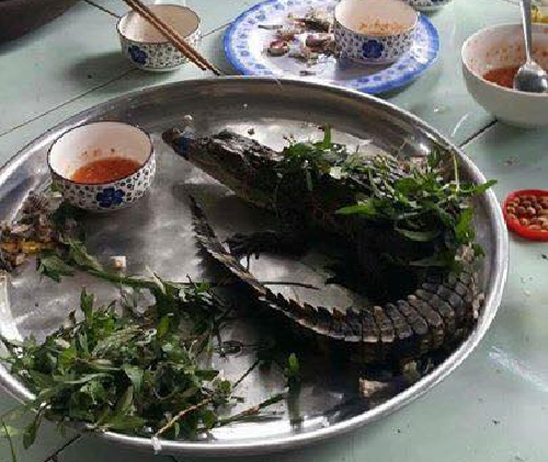 Bữa ăn giản dị. 10-anh-hai-hot-nhat-facebook-trong-ngay-2