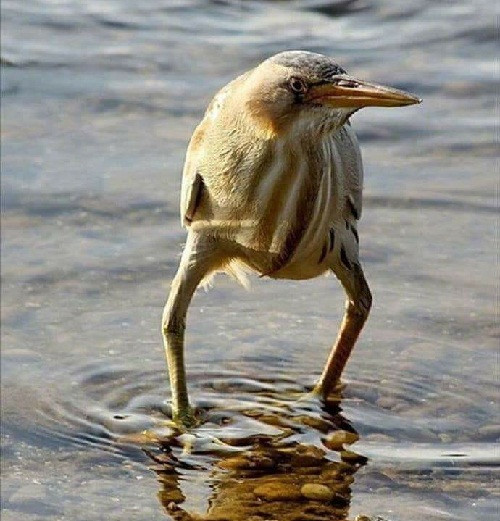 Dáng đứng sành điệu. 10-anh-hai-hot-nhat-facebook-trong-ngay-4