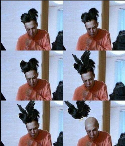 Tóc gió thôi bay. 10-anh-hai-hot-nhat-facebook-trong-ngay-2