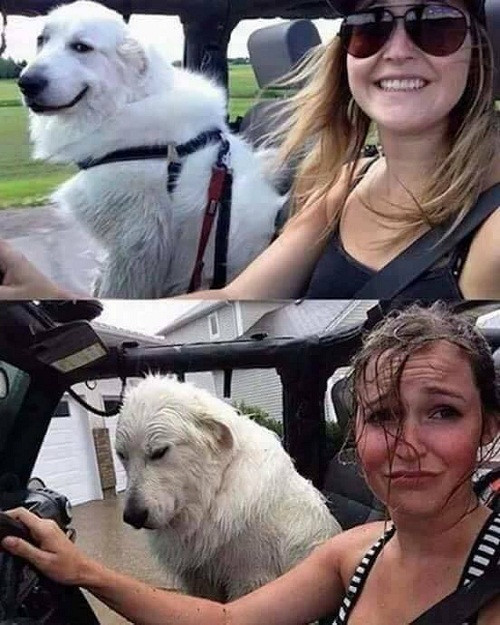 Tác hại của xe mui trần. 10-anh-hai-hot-nhat-facebook-trong-ngay-5