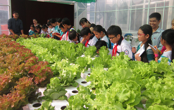 Ảnh minh họa Ảnh minh họa