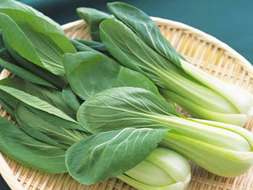 Những người này nếu ăn rau cải sẽ nguy hiểm đến tính mạng ảnh 1 nhung nguoi "dai ky" tuyet doi khong an rau cai vi cuc ky nguy hiem - 1