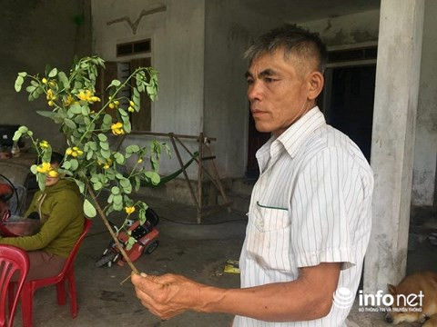 Vợ tử vong nghi do uống nước lá cây trong vườn: Người chồng cũng đã tử vong ảnh 2