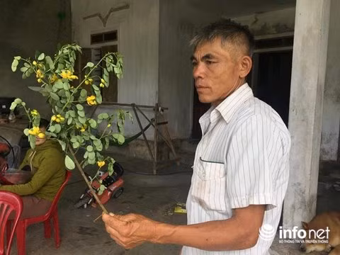 Vợ tử vong nghi do uống nước lá cây trong vườn: Người chồng cũng đã tử vong ảnh 2 Vợ tử vong nghi do uống nước lá cây trong vườn: Người chồng cũng đã tử vong ảnh 2