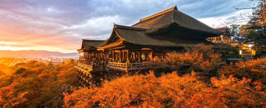 Chia sẻ của du học sinh Việt tại Nhật: Rau xanh là thứ đắt nhất và thứ gây nhớ nhung nhất là cơm nhà - Ảnh 5.