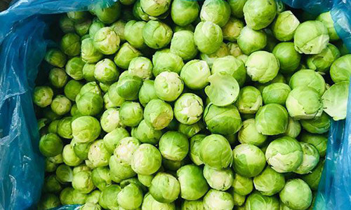 Loại quả tí hon giá cắt cổ được bà nội trợ săn lùng ảnh 4 Loại quả tí hon giá cắt cổ được bà nội trợ săn lùng-4