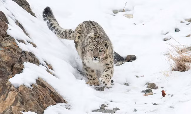 Nghỉ phép kiểu siêu giàu: Đốt cả triệu đô để có chuyến du lịch sinh tồn không đụng hàng - Ảnh 4.