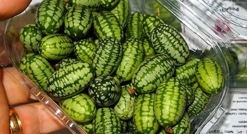 Loại quả tí hon giá cắt cổ được bà nội trợ săn lùng ảnh 2 Loại quả tí hon giá cắt cổ được bà nội trợ săn lùng-2