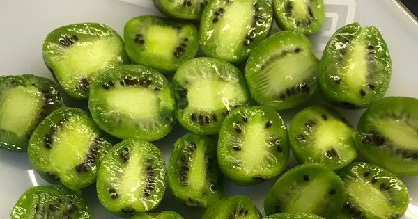 Loại quả tí hon giá cắt cổ được bà nội trợ săn lùng ảnh 18 Loại quả tí hon giá cắt cổ được bà nội trợ săn lùng-18