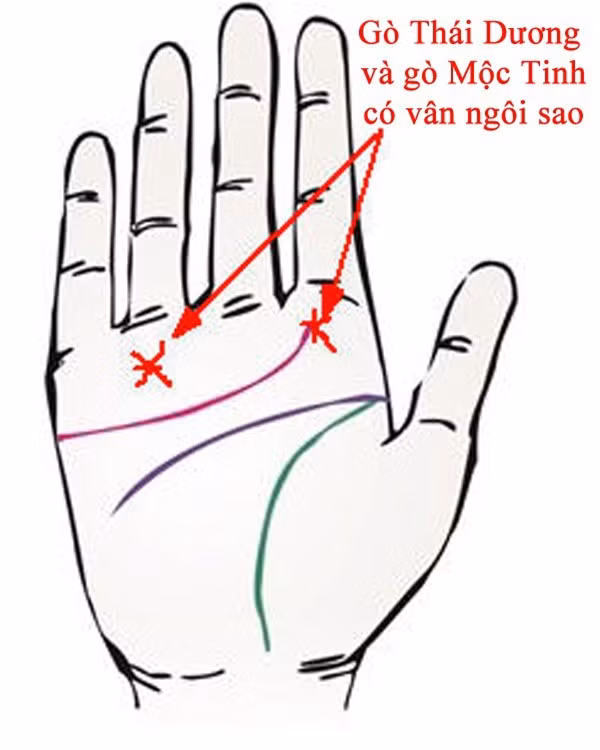 Bàn tay có những đặc điểm này đảm bảo giàu sang sẽ bủa vây, cả đời tiền tiêu không hết-2