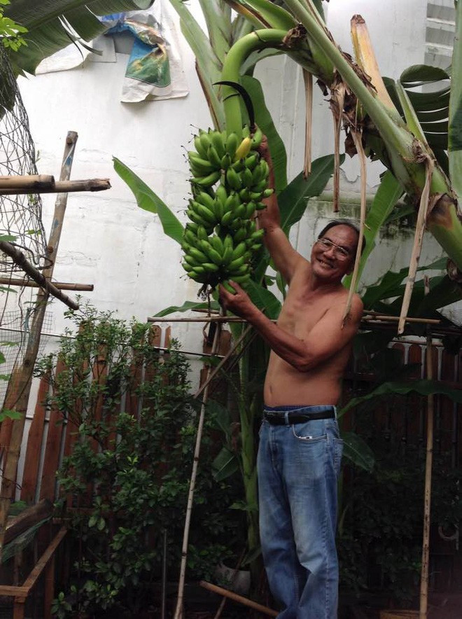 tang-thanh-ha-4-1510826304117 tang-thanh-ha-4-1510826304117