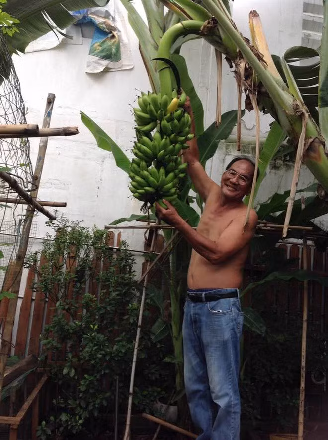 tang-thanh-ha-4-1510826304117