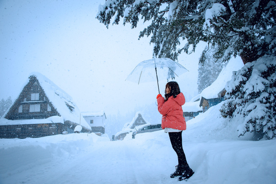 Den Nhat Ban, dung quen check-in ngoi lang tuyet dep nhu co tich hinh anh 8