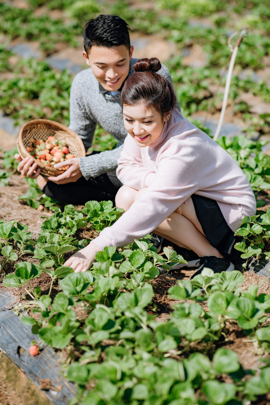 ht2-8519-1496164718475 ht2-8519-1496164718475