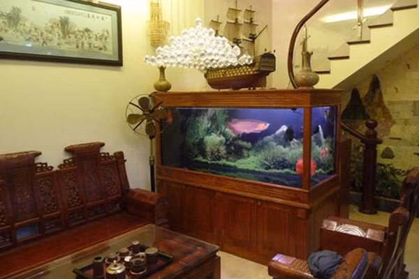 lam lung quanh nam van ngheo, thu ngay 5 meo phong thuy sau de giau ngay lap tuc - 3