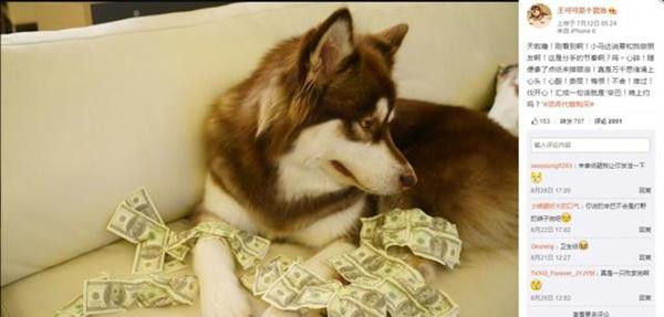 "Thiếu gia cho chó đeo đồng hồ tiền tỷ” bất ngờ lọt top Gương mặt đẹp nhất châu Á ảnh 3 nhan sac "thieu gia cho cho deo dong ho tien ty" lot top guong mat dep nhat gay xon xao - 3