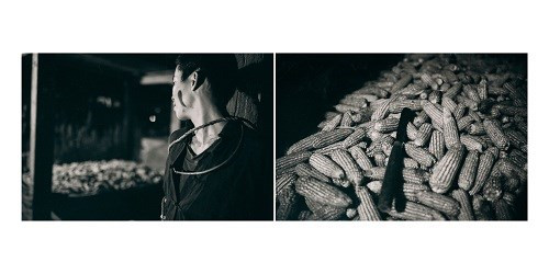 Và chính cảnh bi thương này đã đánh thức lòng thương cảm trong con người Mị