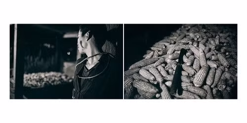 Và chính cảnh bi thương này đã đánh thức lòng thương cảm trong con người Mị