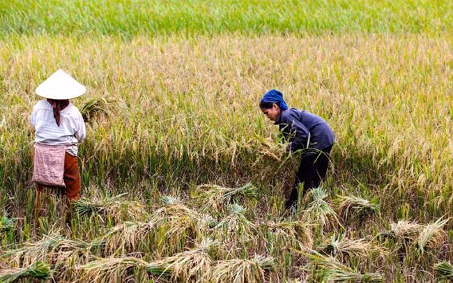 Keyword đầu tiên có dấu