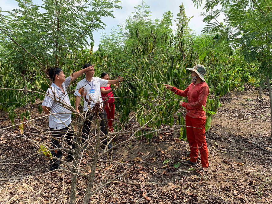 Hạn hán khốc liệt ở Buôn Đôn ảnh 1