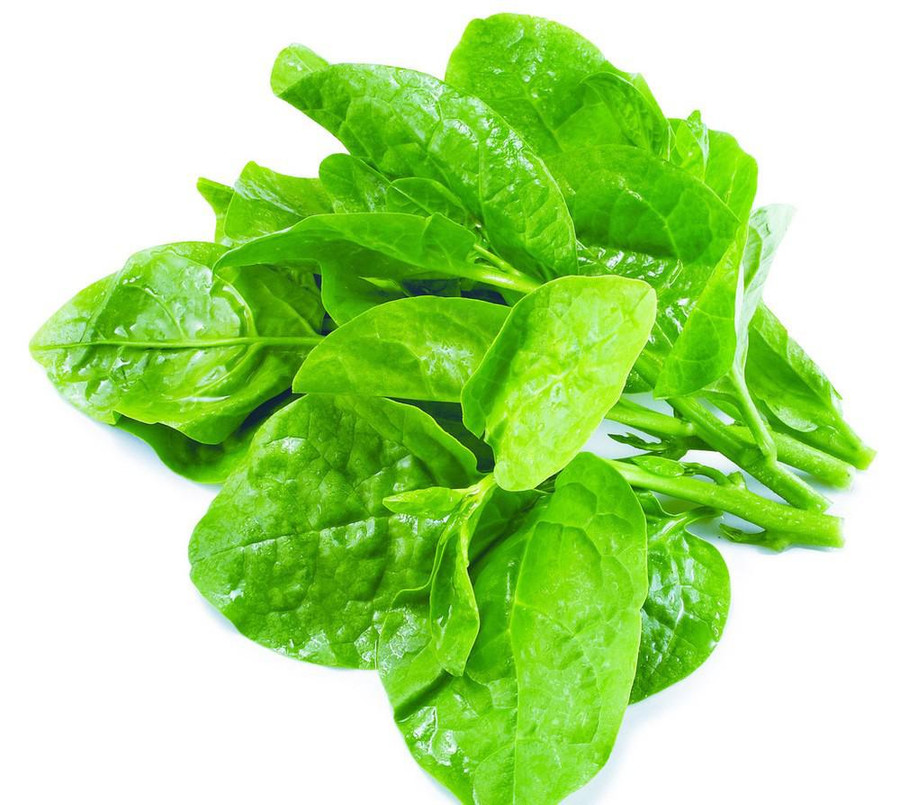 Hay ăn mồng tơi nhưng liệu bạn đã biết được tất cả công dụng của loại rau tuyệt vời này ảnh 1 hay an mong toi nhung lieu ban da biet duoc tat ca cong dung cua loai rau tuyet voi nay - 1