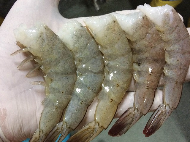 Ăn hải sản đừng giữ lại những bộ phận này, coi chừng nhiễm độc kim loại nặng ảnh 2 Empty