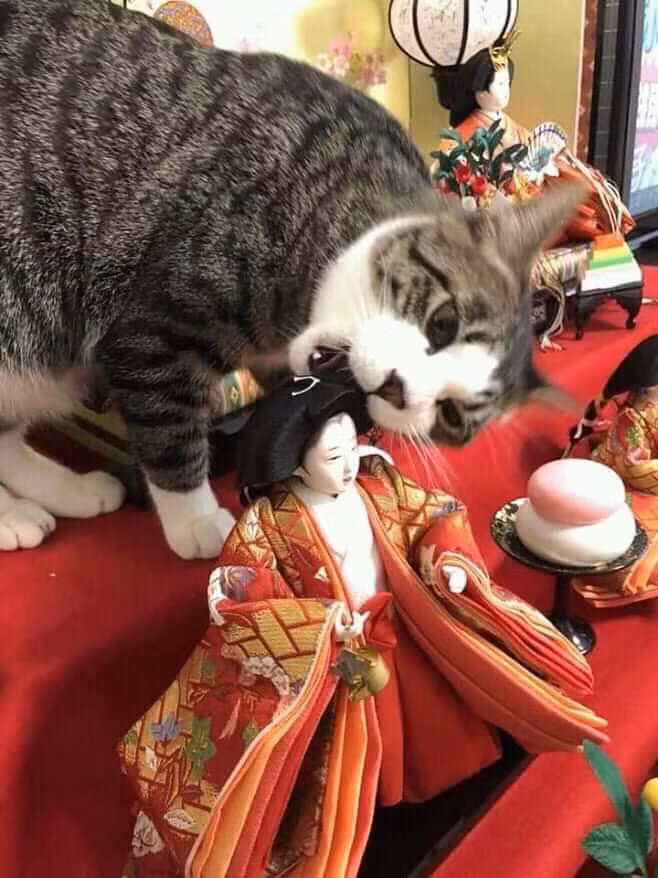 Những hình ảnh hài hước nhất Facebook trong ngày ảnh 5