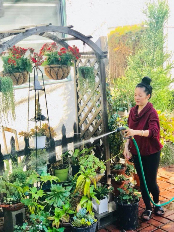 Căn biệt thự độc đáo có 112 ô cửa sổ của bà già bán khoai quê Quảng Trị nổi tiếng Vbiz - Ảnh 11. Căn biệt thự độc đáo có 112 ô cửa sổ của bà già bán khoai quê Quảng Trị nổi tiếng Vbiz - Ảnh 11.