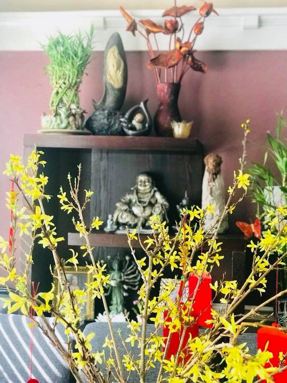 Căn biệt thự độc đáo có 112 ô cửa sổ của bà già bán khoai quê Quảng Trị nổi tiếng Vbiz - Ảnh 10. Căn biệt thự độc đáo có 112 ô cửa sổ của bà già bán khoai quê Quảng Trị nổi tiếng Vbiz - Ảnh 10.