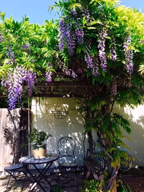 Căn biệt thự độc đáo có 112 ô cửa sổ của bà già bán khoai quê Quảng Trị nổi tiếng Vbiz - Ảnh 14.