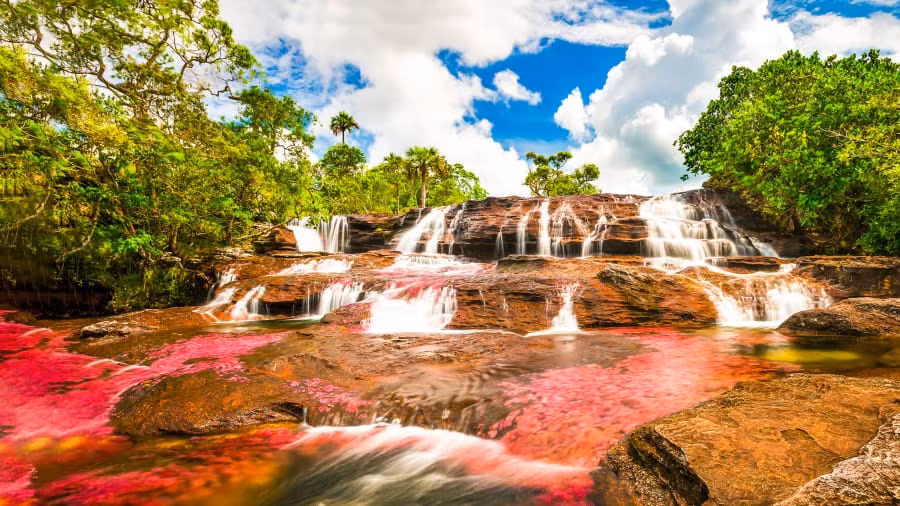 Chiêm ngưỡng tuyệt tác dòng sông ngũ sắc ở Colombia