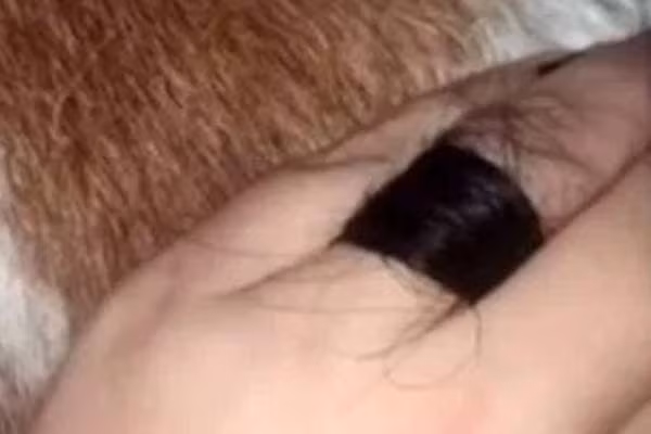 Cô gái khoe nhẫn đính hôn bện tóc người, dân mạng hoảng hồn