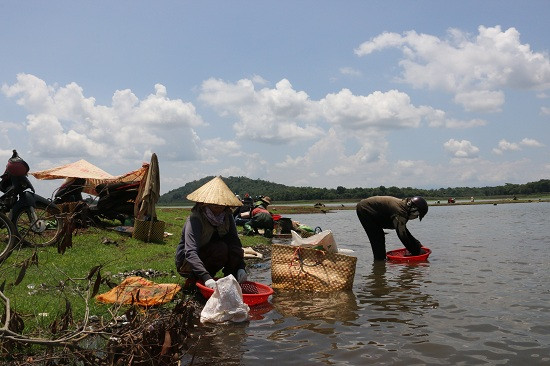 Những người phụ nữ ngồi đãi hến trong bờ.