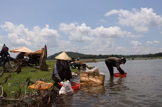 Những người phụ nữ ngồi đãi hến trong bờ.