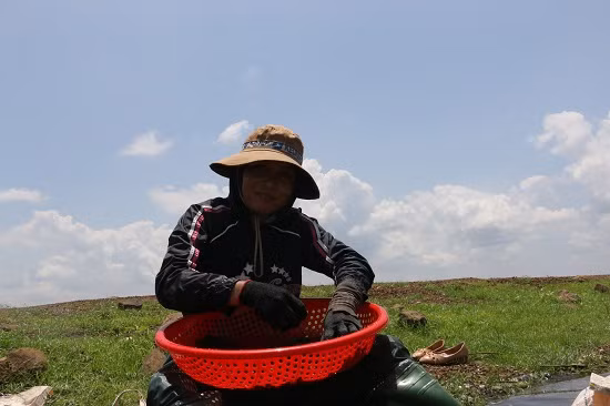 Khi thau nhựa đã đầy, những người đàn ông đưa hến vào bờ để những người phụ nữ đãi sạch đưa đi bán.