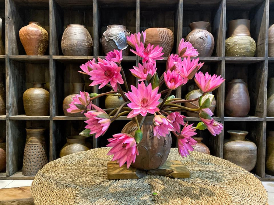 Sau ngày đầu ngâm nước. Đây là hoa nở lần 2.