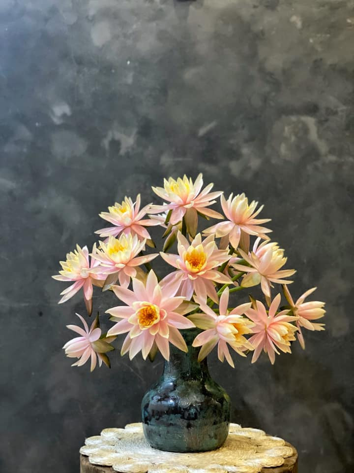 Bình miệng 8cm nên chỉ cắm được hơn chục bông.