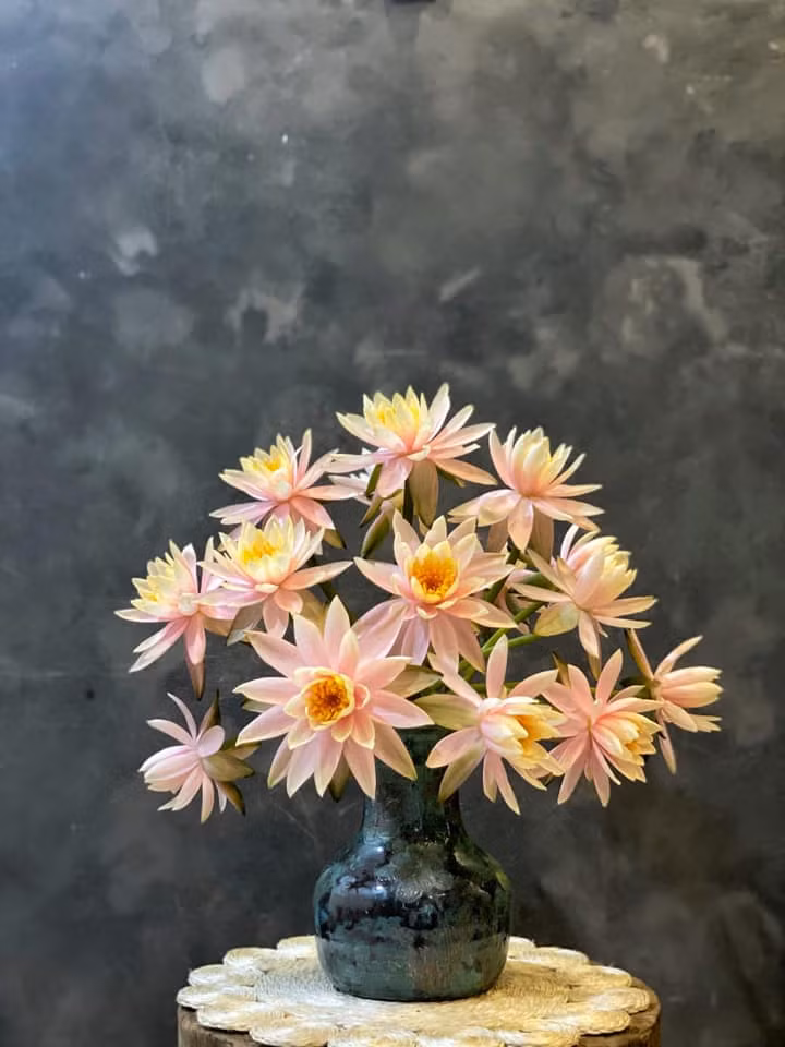 Bình miệng 8cm nên chỉ cắm được hơn chục bông.