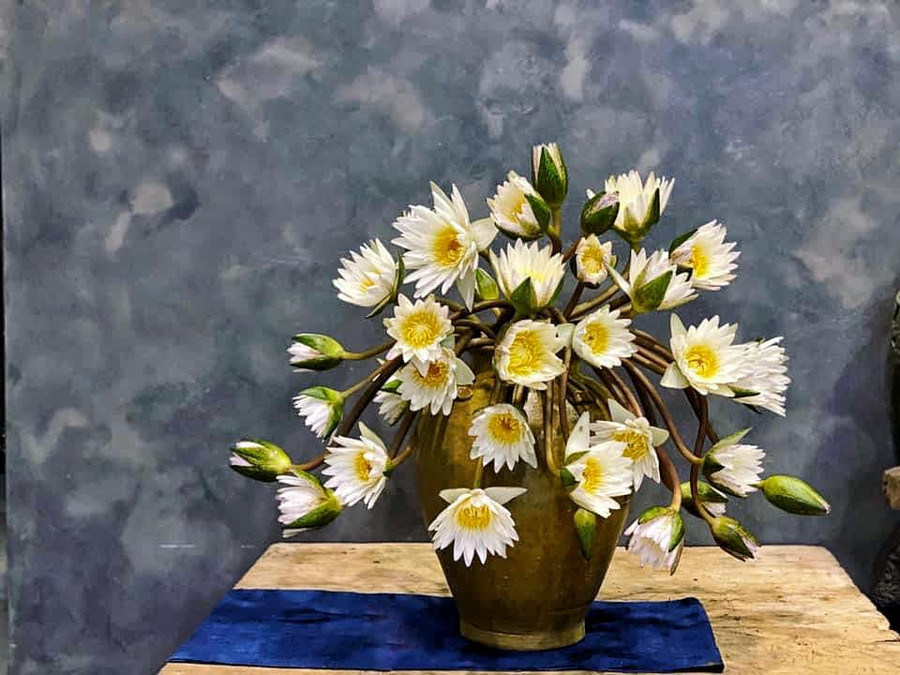 ...chọn bình to cao để có chỗ cho hoa trườn. Miệng bình 15cm, cắm được 50 bông.