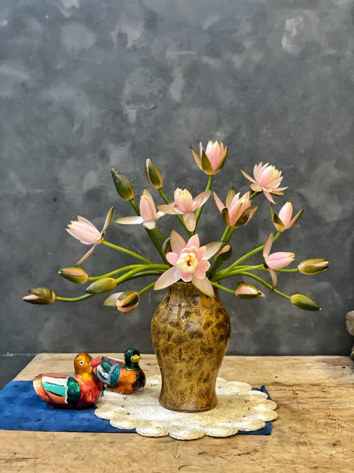 Cách dưỡng và cắm hoa súng đẹp "vạn người mê" của mẹ đảm ở Hà Nội ảnh 2