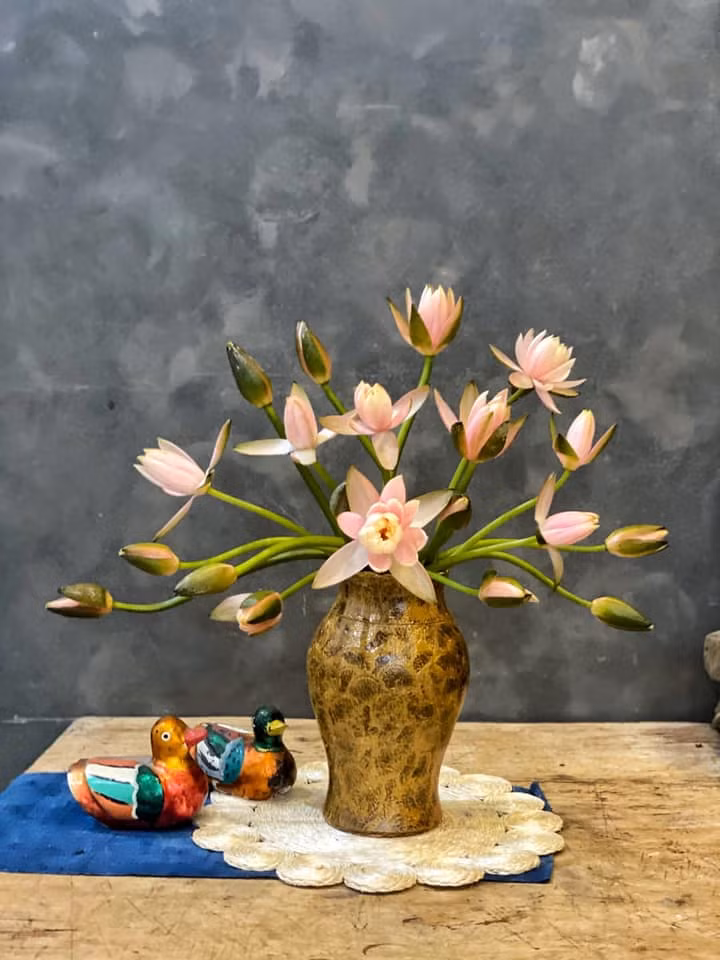 Cách dưỡng và cắm hoa súng đẹp "vạn người mê" của mẹ đảm ở Hà Nội ảnh 2