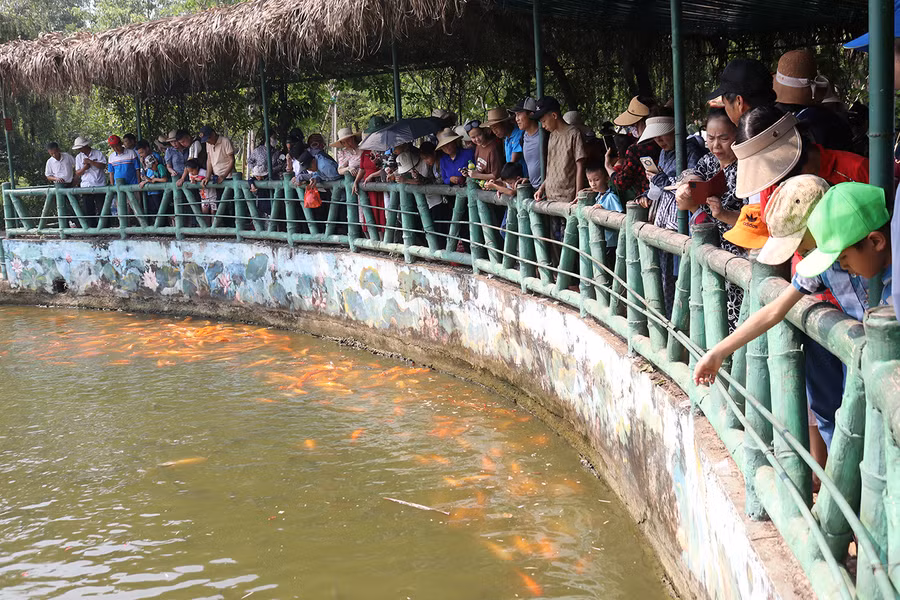 Ao cá Bác Hồ trở thành địa điểm thu hút khách đến tham quan, chụp ảnh tại khu di tích.