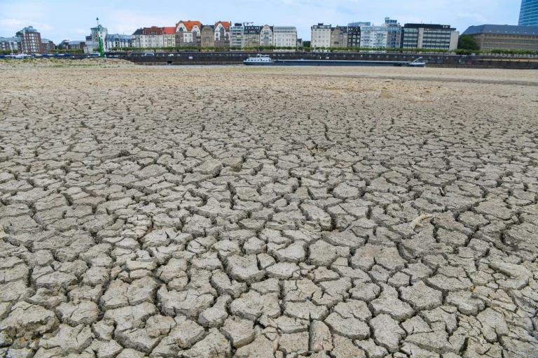 Cảnh khô cằn trên các nhánh của sông Rhine ở Duesseldorf, miền Tây nước Đức, trong đợt nóng mùa hè này 