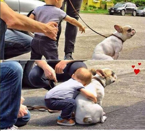 Tình bạn dễ thương của bé.