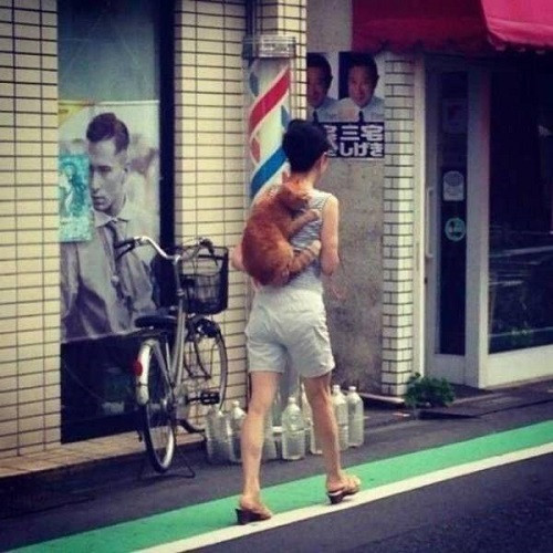 Ba lô hiệu con mèo.