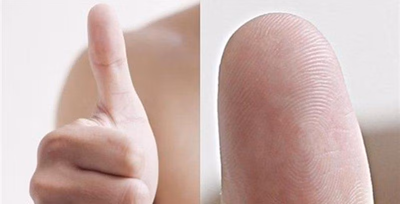 hoa tay noi len dieu gi ve nghe nghiep va tinh cach cua ban? hinh anh 5