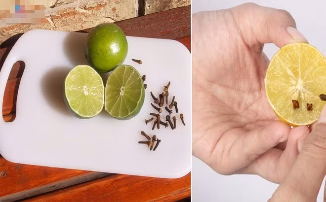 photo1506872313067-1506872313548-0-0-628-1011-crop-1506872409274