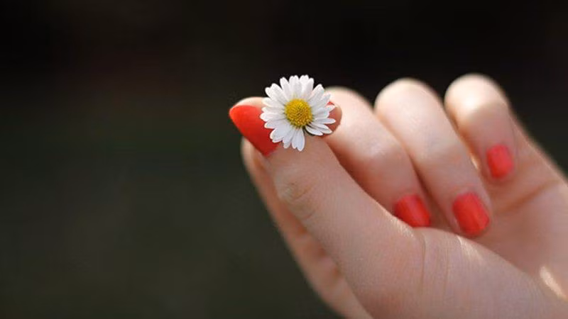 hoa tay noi len dieu gi ve nghe nghiep va tinh cach cua ban? hinh anh 3