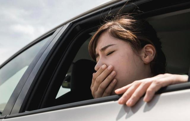 Ăn gì thoát nỗi ám ảnh say tàu xe khi đi chơi ngày lễ 30/4-1/5? ảnh 1 an gi thoat noi am anh say tau xe khi di choi ngay le 30/4-1/5? - 1